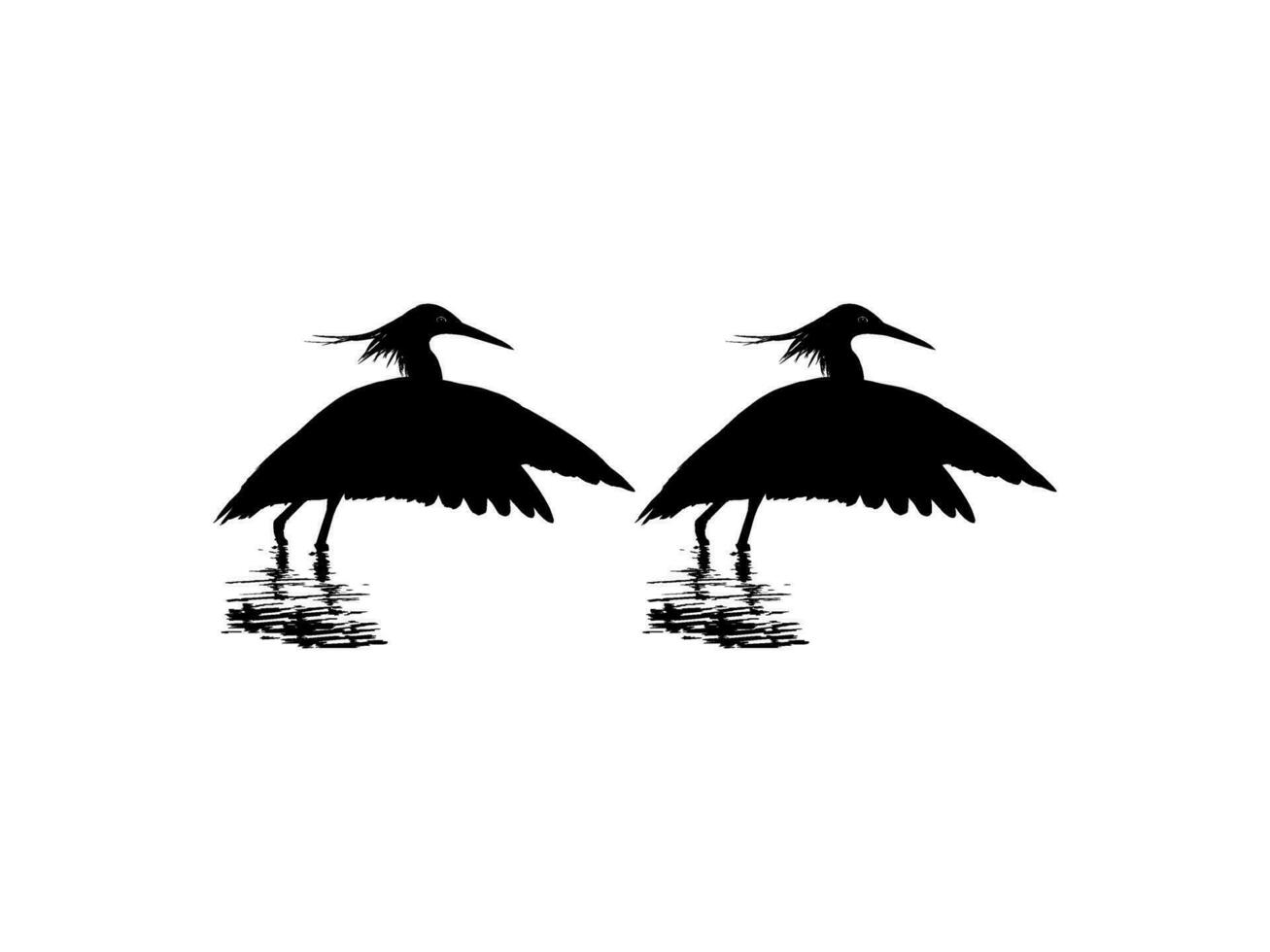 Paar von das schwarz Reiher Vogel, Egretta Ardesiaka, ebenfalls bekannt wie das schwarz Reiher Silhouette zum Kunst Illustration, Logo, Piktogramm, Webseite, oder Grafik Design Element. Vektor Illustration