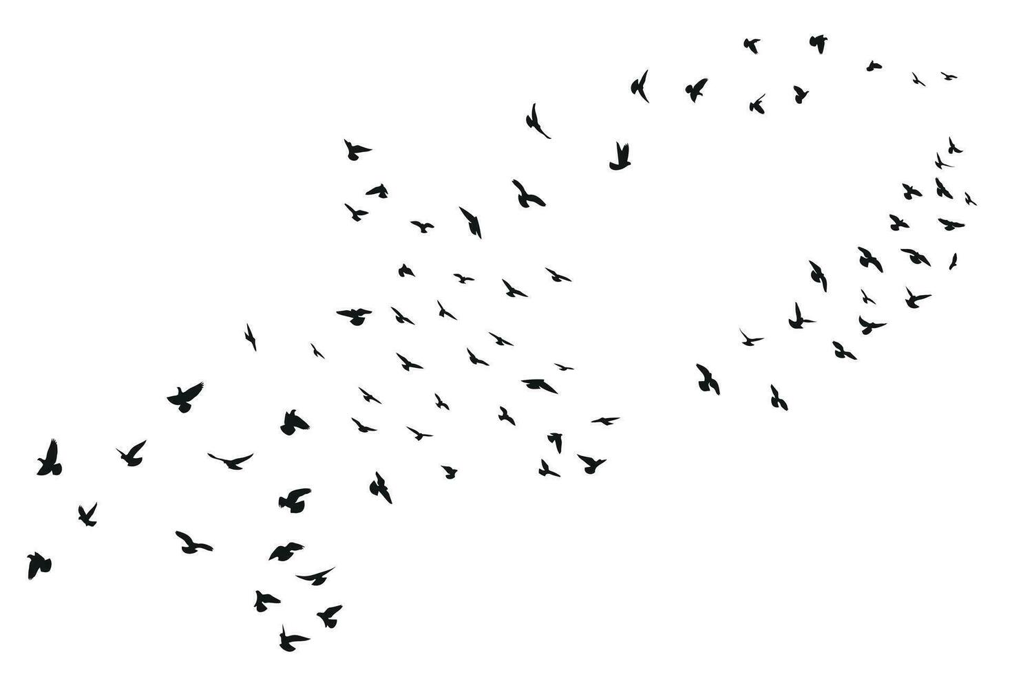 Silhouette skizzieren von ein Herde von fliegend nach vorne Vögel. abheben, fliegend, Flug, flattern, schweben, hochfliegend, Landung vektor