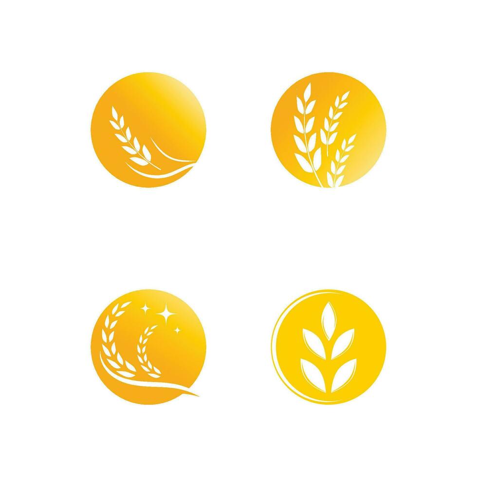 Landwirtschaft Weizen Logo Vektor Vorlage Symbol Design