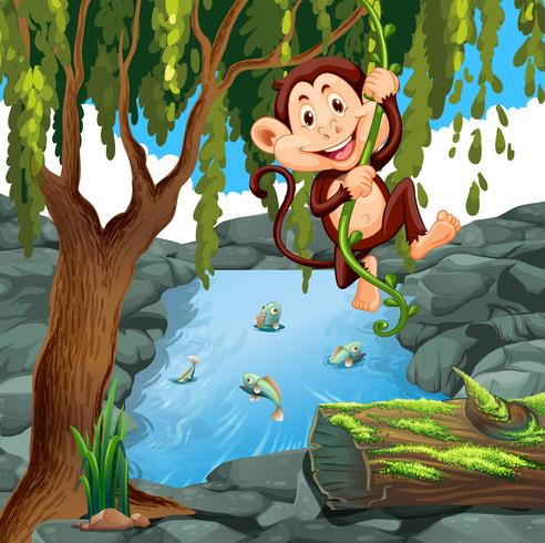 Monkey klättring vinstockar i skogen vektor