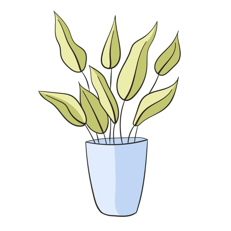 aglaonema i en blomma pott. små växt isolerat på en vit bakgrund. vektor