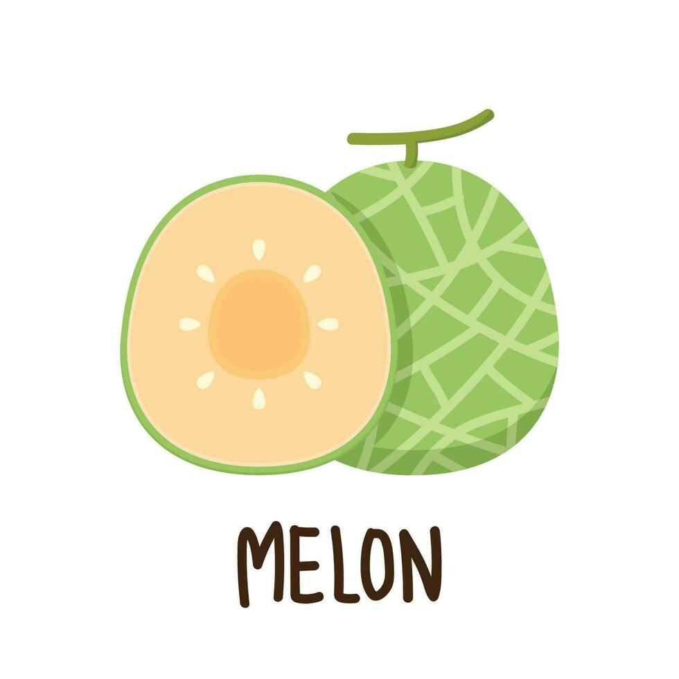 Melone-Vektor. Melone auf weißem Hintergrund. Hintergrund. Logo Design. vektor