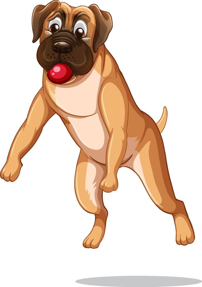 Boxer Hund Cartoon auf weißem Hintergrund vektor