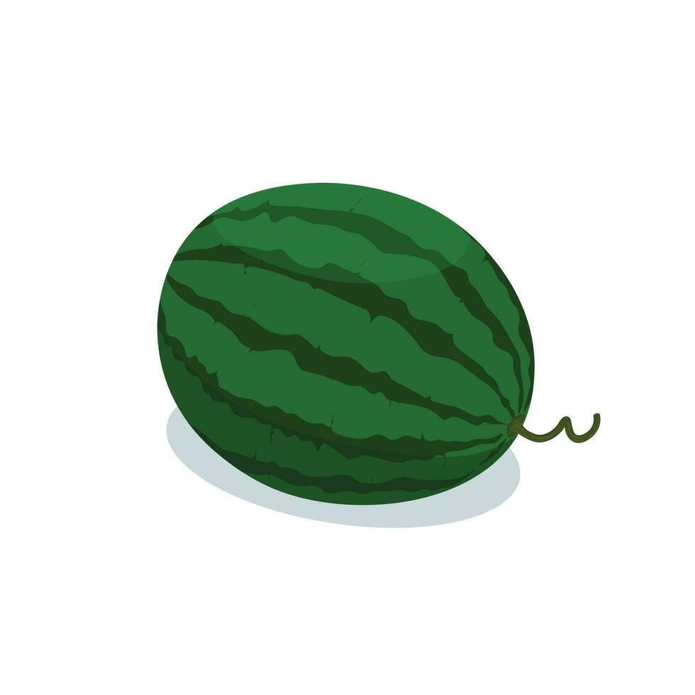 ganze Wassermelone mit Stengel Vektor Illustration isoliert auf Weiß Hintergrund.