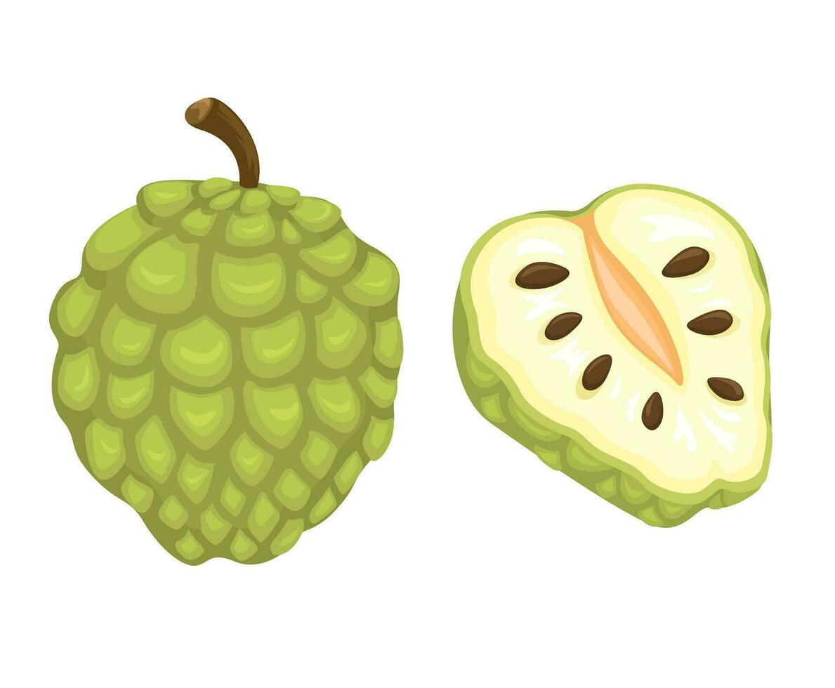 tjock vaniljsås äpple frukt uppsättning tecknad serie illustration vektor