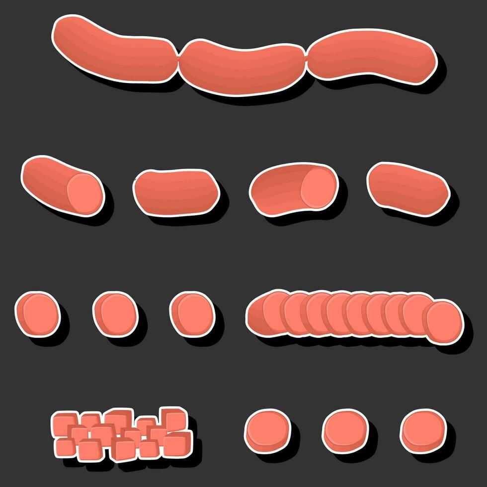 Illustration zum Thema großes Set verschiedene Arten von Feinkost-Fleischwürsten vektor