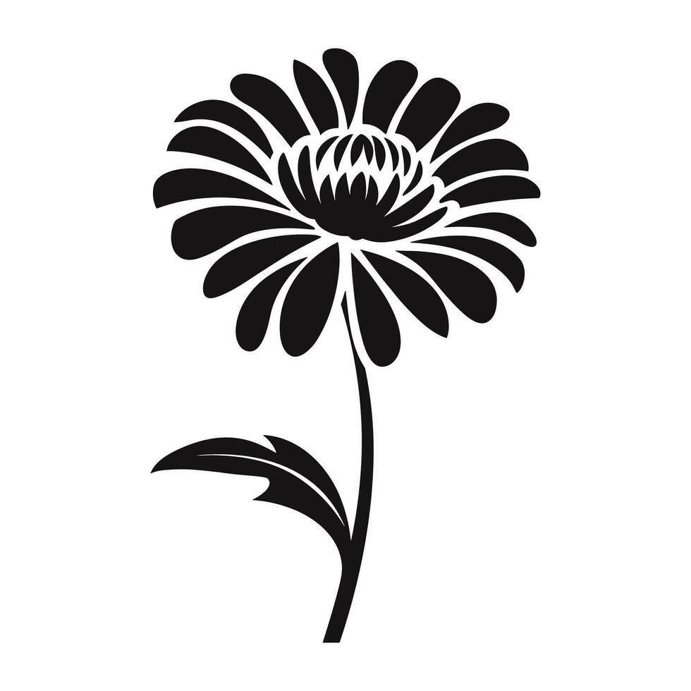 ein Aster Blume Silhouette Vektor isoliert auf ein Weiß Hintergrund