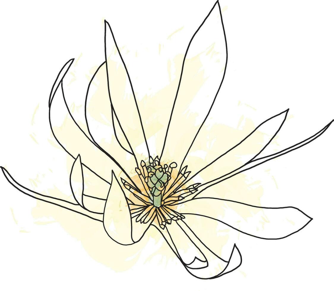 abstrakt linje av champaka blomma är blomning med Färg stänkte bakgrund. vektor