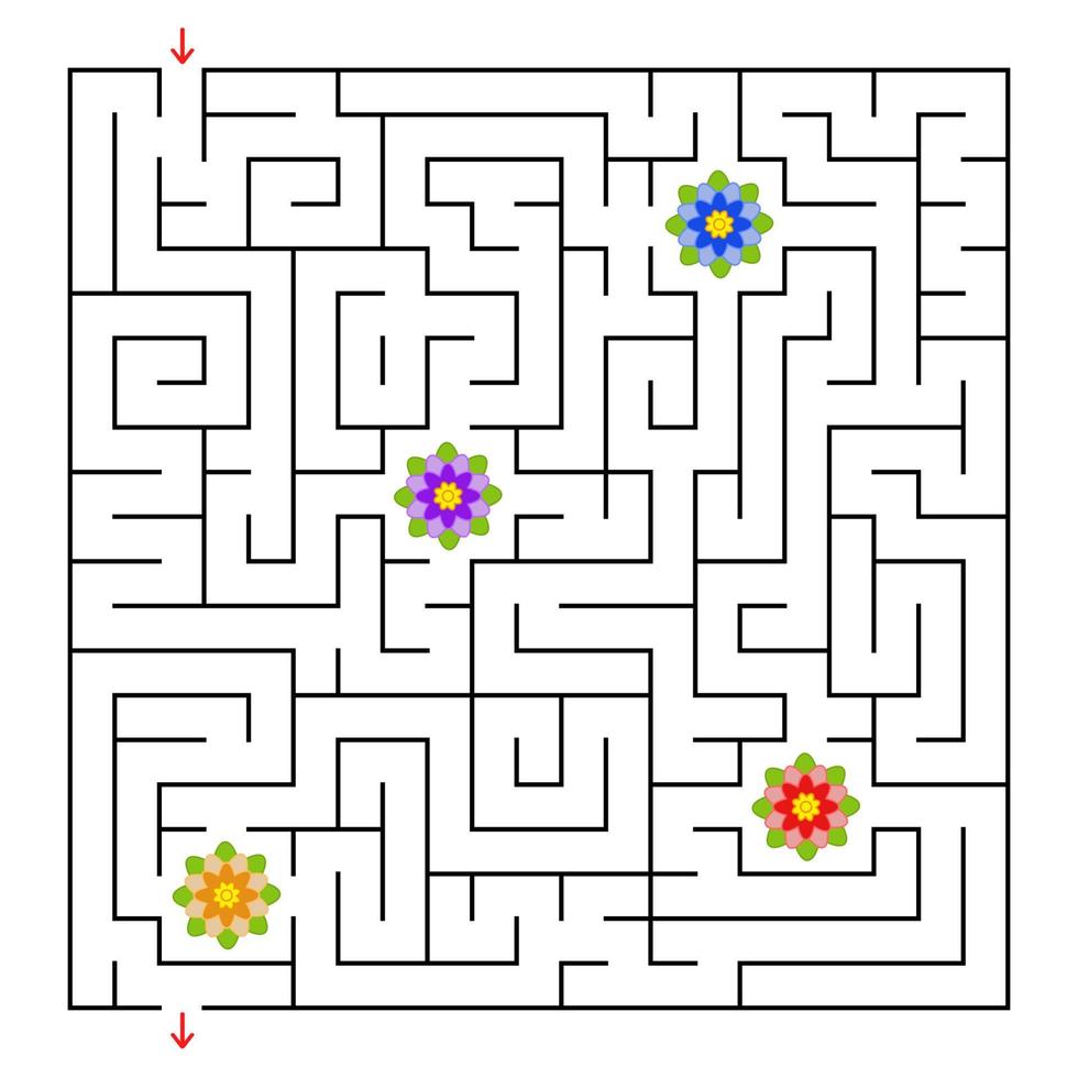 en fyrkantig labyrint. samla alla blommor och hitta en väg ut ur labyrinten. enkel platt isolerad vektor illustration.