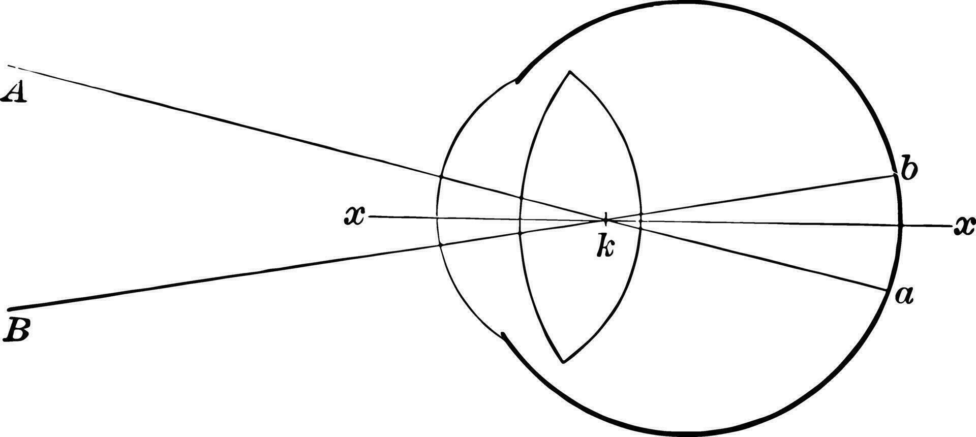 Retina Jahrgang Illustration. vektor