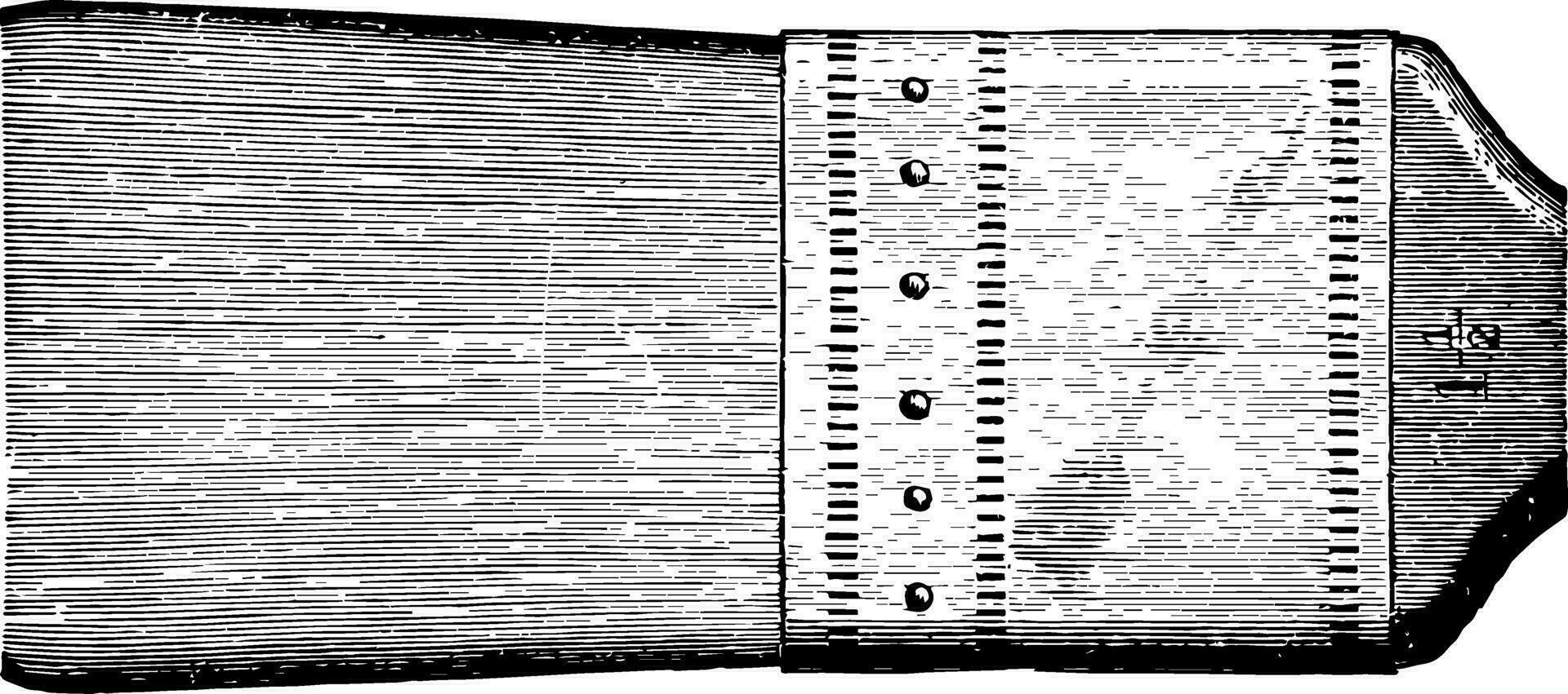 grävling hår strömmande årgång illustration. vektor