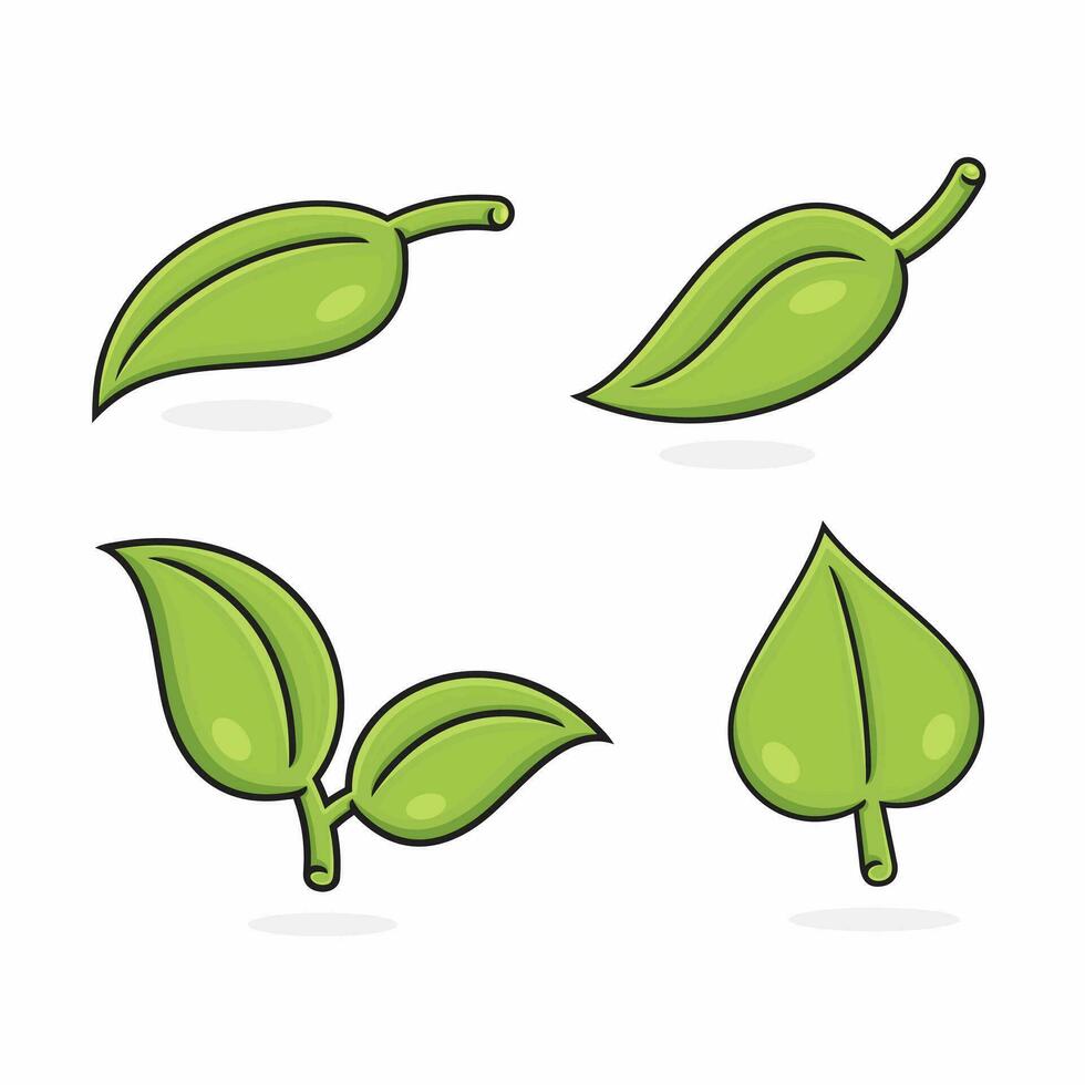 4 uppsättningar av karakteristisk grön löv, naturlig och miljömässigt vänlig. vektor