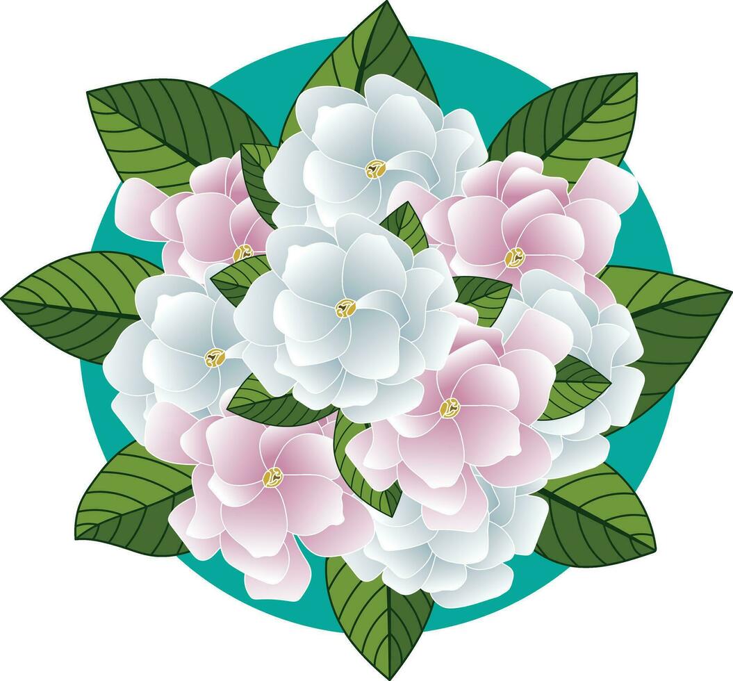 illustration av gerdenia eller cape jasmin blomma med löv på grön cirkel bakgrund. vektor