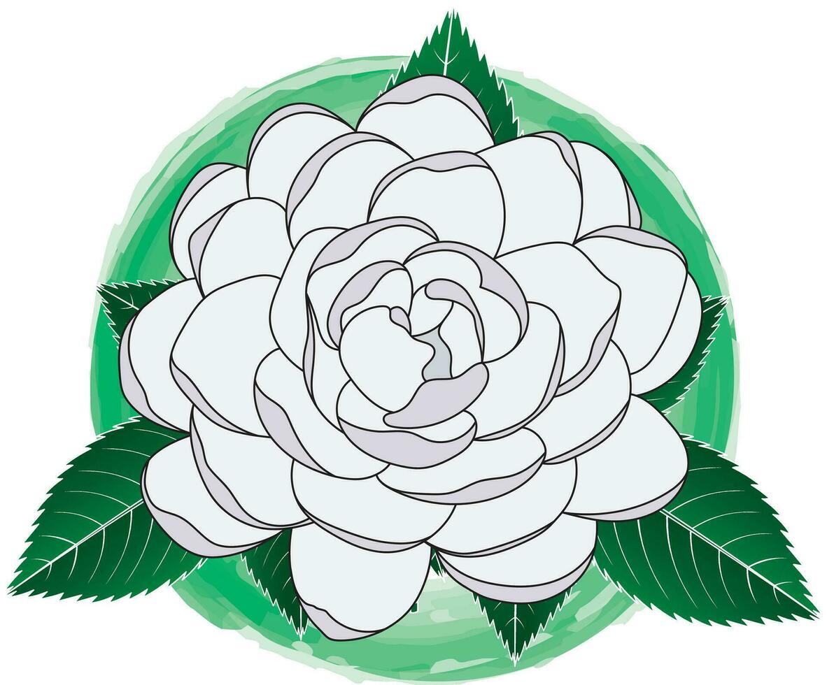 Illustration von Ruhm Laube Blühen Blume mit Blätter auf Blau Kreis Hintergrund. vektor