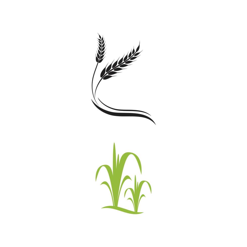 Landwirtschaft Weizen Vektor Icon Design