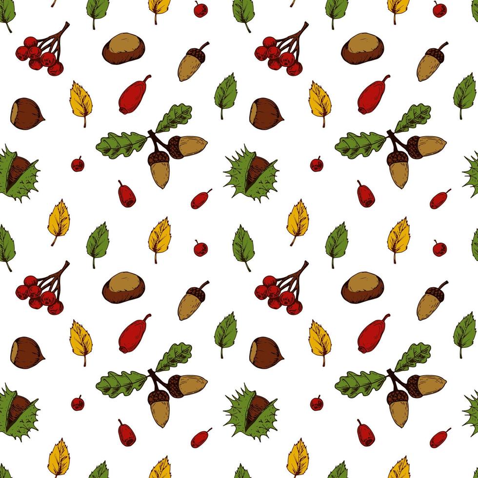 höst sömlöst mönster med ekollon, kastanjer, hasselnötter, bär och färgglada löv isolerad på vit bakgrund. handritad färgad skiss vektor illustration. vintage linje konst
