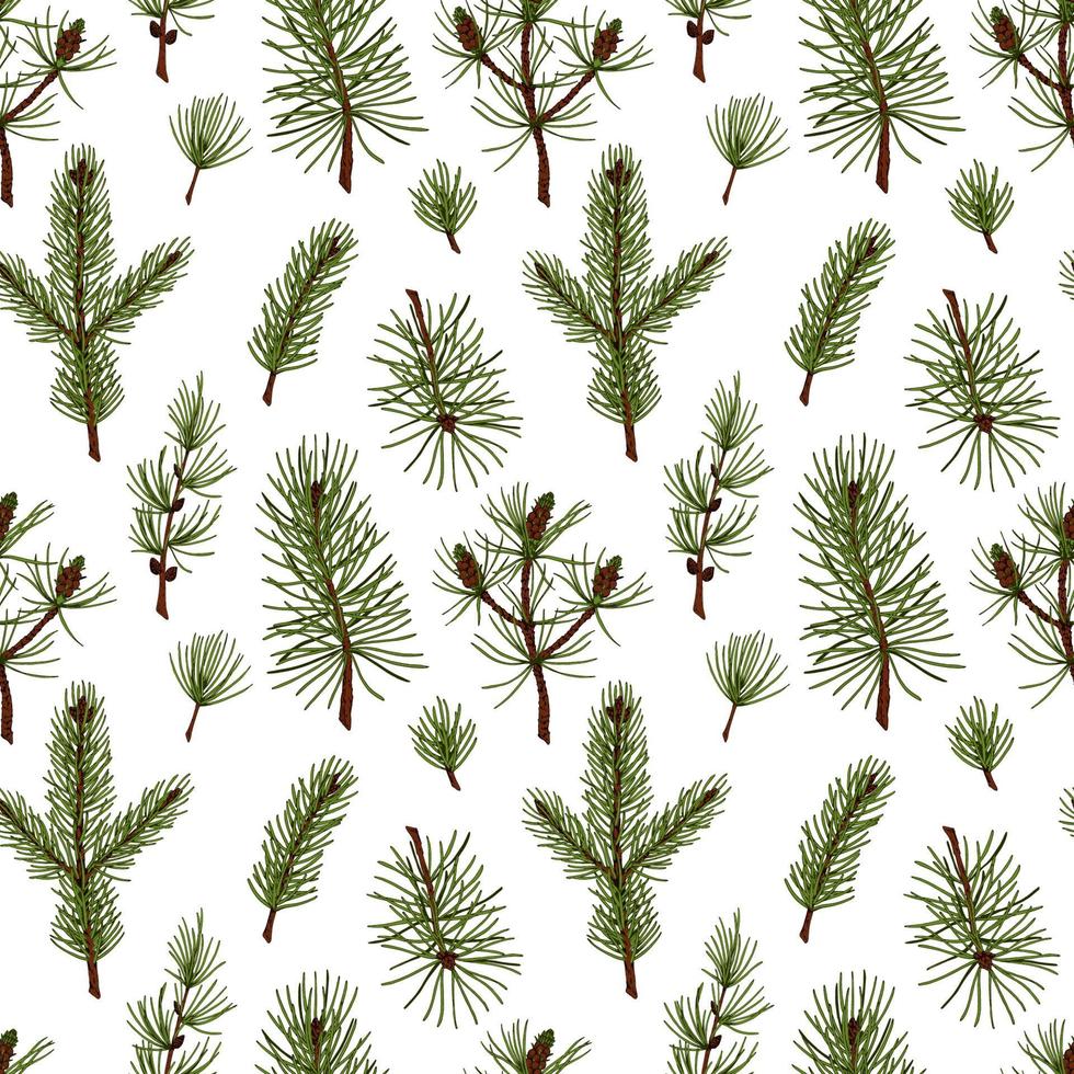 handritad skog och jul sömlöst mönster med gran, tall och lärk grenar isolerad på vit bakgrund. vektor illustration i färgad skissstil