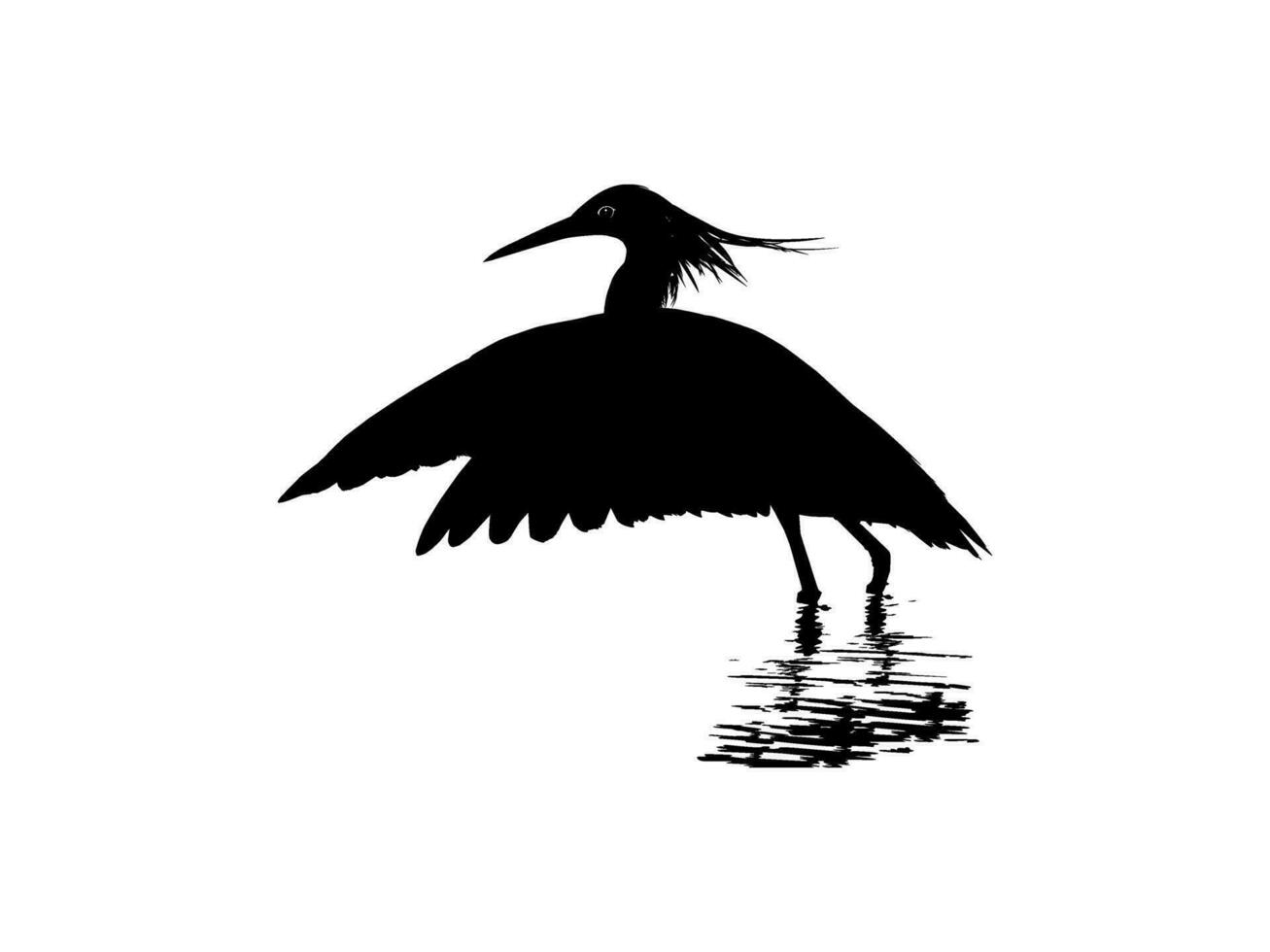 de svart häger fågel, egretta ardesiaca, också känd som de svart häger silhuett för konst illustration, logotyp, piktogram, hemsida, eller grafisk design element. vektor illustration