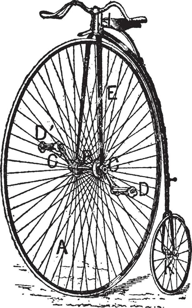 velociped, vanlig cykel, årgång gravyr. vektor