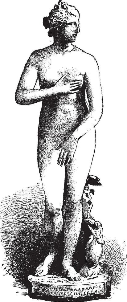 Venus von medici oder medici Venus, Jahrgang Gravur. vektor