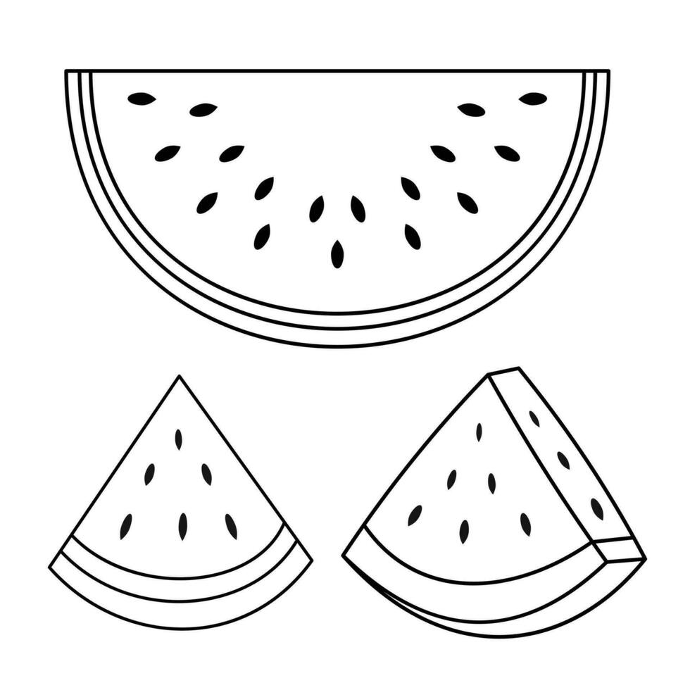 Wassermelone Palästina Symbol zum friedlich Land . Grün, Weiss, Rot, schwarz. frisch Wassermelone Obst vektor