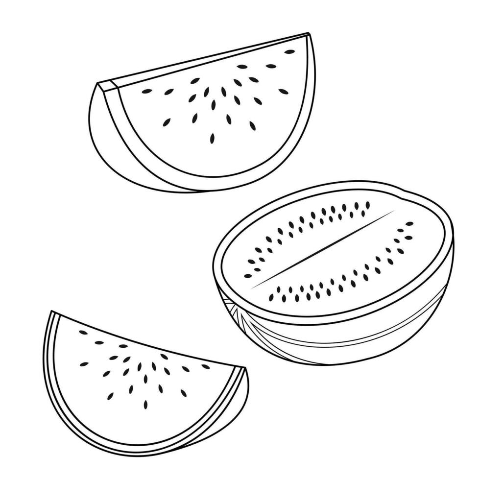 vattenmelon palestina symbol för fredlig Land . grön, vit, röd, svart. färsk vattenmelon frukt vektor