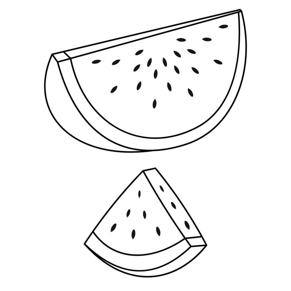 Wassermelone Palästina Symbol zum friedlich Land . Grün, Weiss, Rot, schwarz. frisch Wassermelone Obst vektor