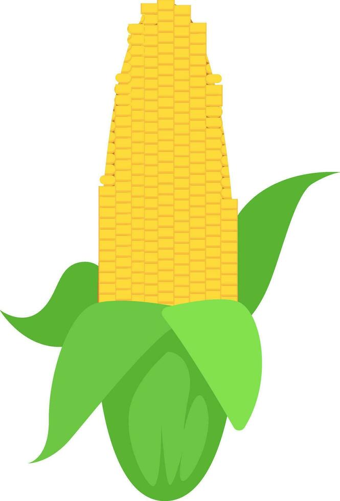 frischer Mais, Illustration, Vektor auf weißem Hintergrund