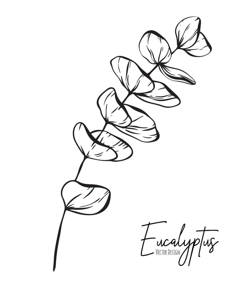 botanisch elegant Linie Illustration von ein Eukalyptus Blätter Ast zum Hochzeit Einladung und Karten, Logo Design, Netz, Sozial Medien und Poster, Vorlage, Werbung, Schönheit und kosmetisch Industrie. vektor