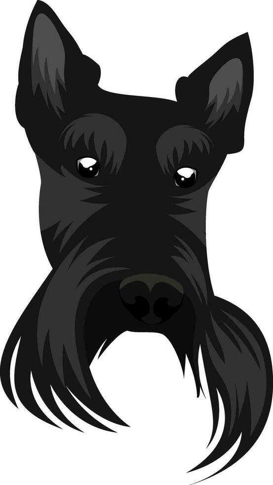 schottisch Terrier Illustration Vektor auf Weiß Hintergrund