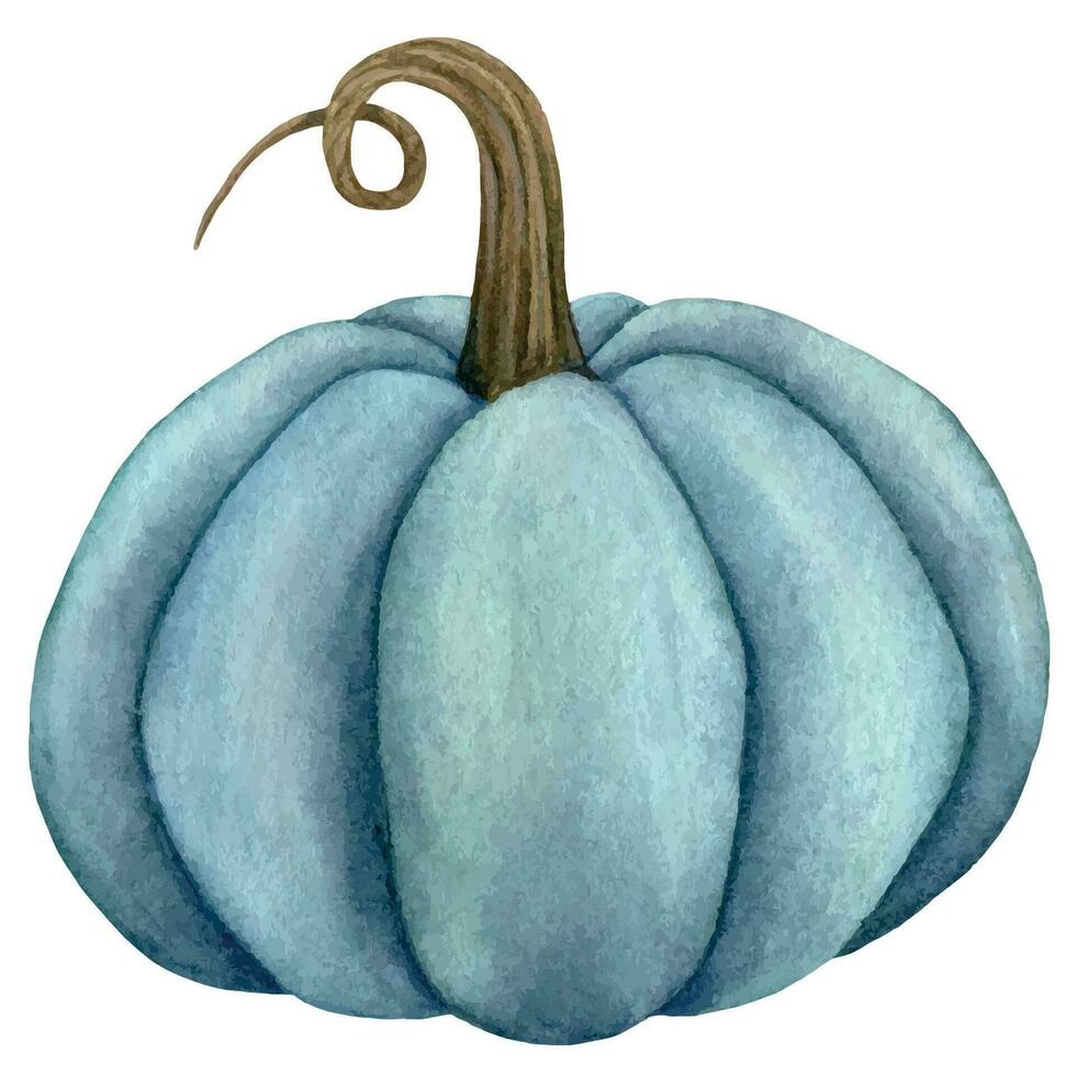 vattenfärg blå pumpa, skörda vegetabiliska hand dragen illustration för kort, inbjudan, meny vektor