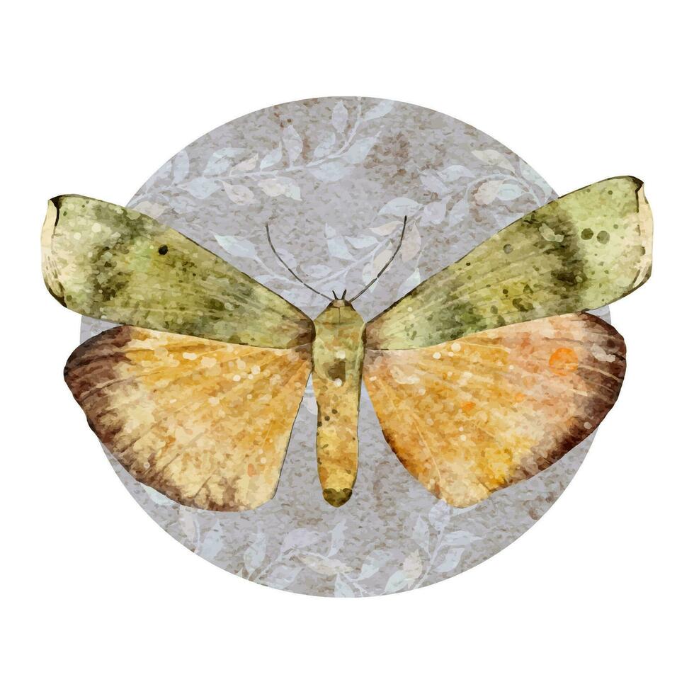 Aquarell Grün und Gelb Schmetterling. Jahrgang Insekt. Sommer- Illustration Vektor. vektor