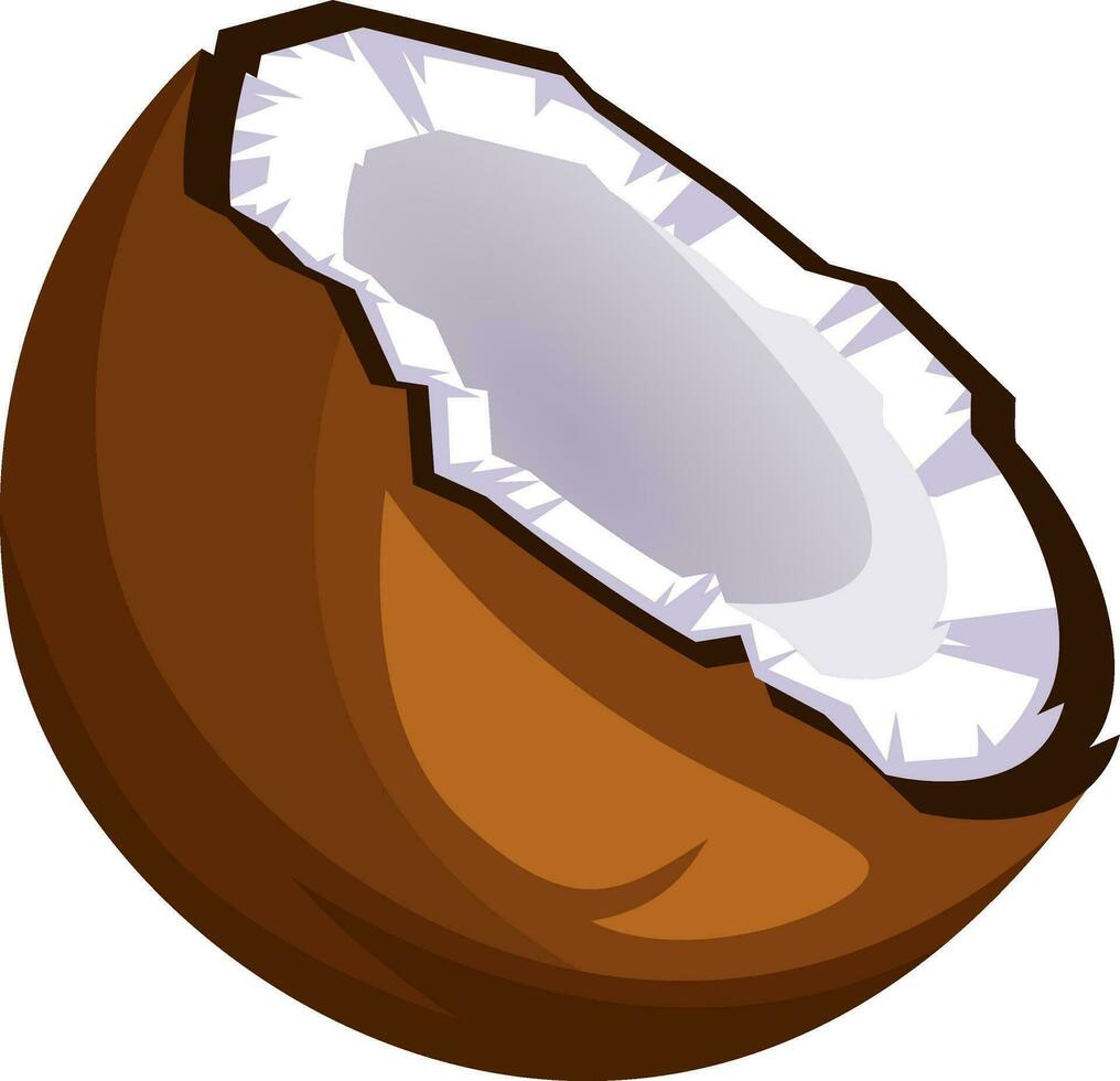 braun Kokosnuss Schnitt im Hälfte Karikatur Obst Vektor Illustration auf Weiß Hintergrund.