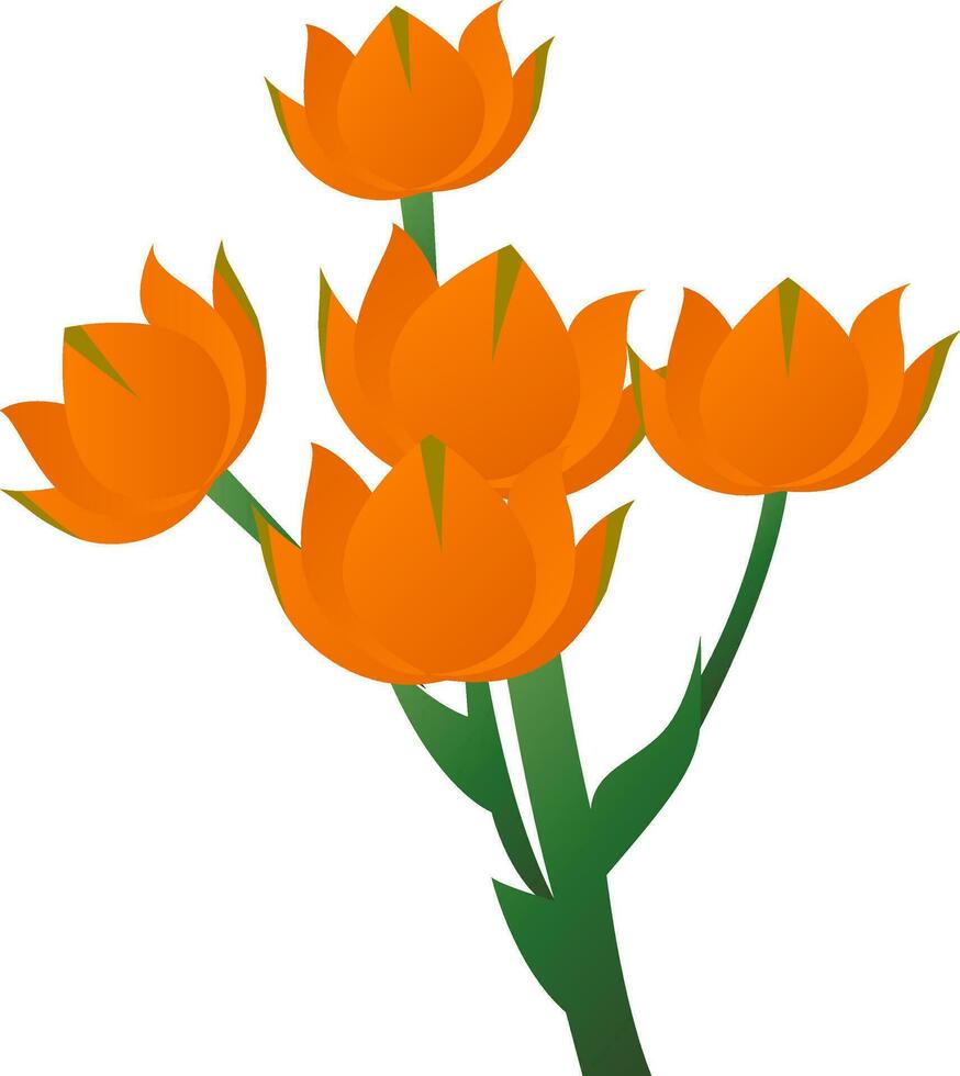 Vektor Illustration von Star von Bethlehem Orange Blume mit Grün Blätter auf Weiß Hintergrund.