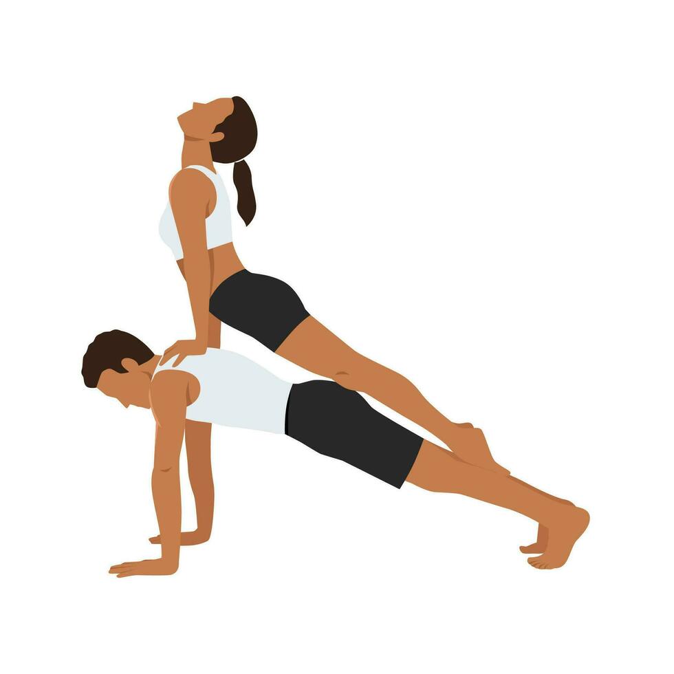 ung par praktiserande yoga tillsammans, uppåt vänd hund på topp av planka utgör vektor