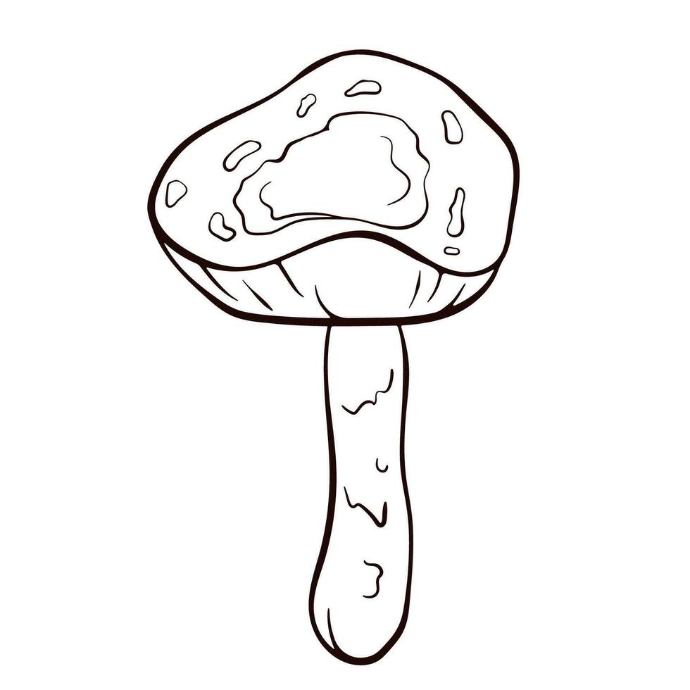 oätlig svamp dödligt tjusig svart och vit i linje konst stil. giftig Lepiota brunneoincarnata hand ritade. vektor illustration isolerat på en vit bakgrund.