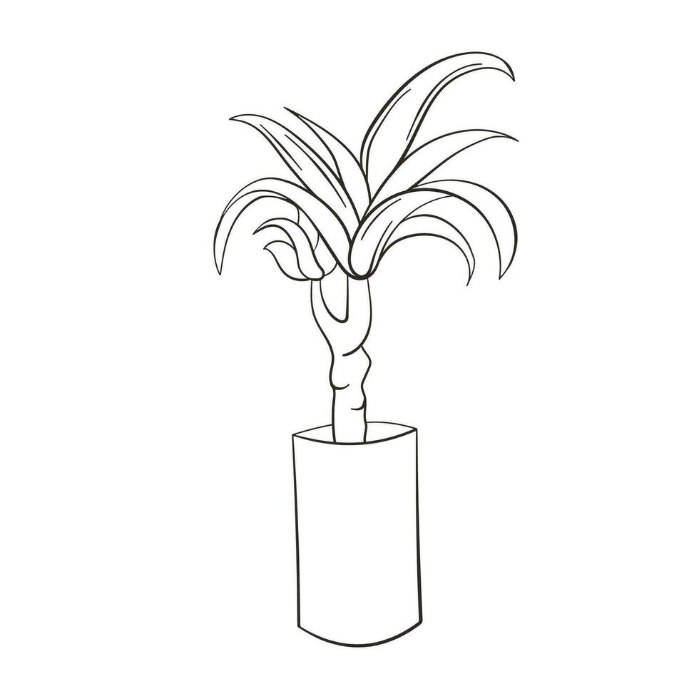 dracena klotter illustration. vektor illustration. linjär vektor dracena ikon. isolerat översikt bild av de krukväxt på vit bakgrund.