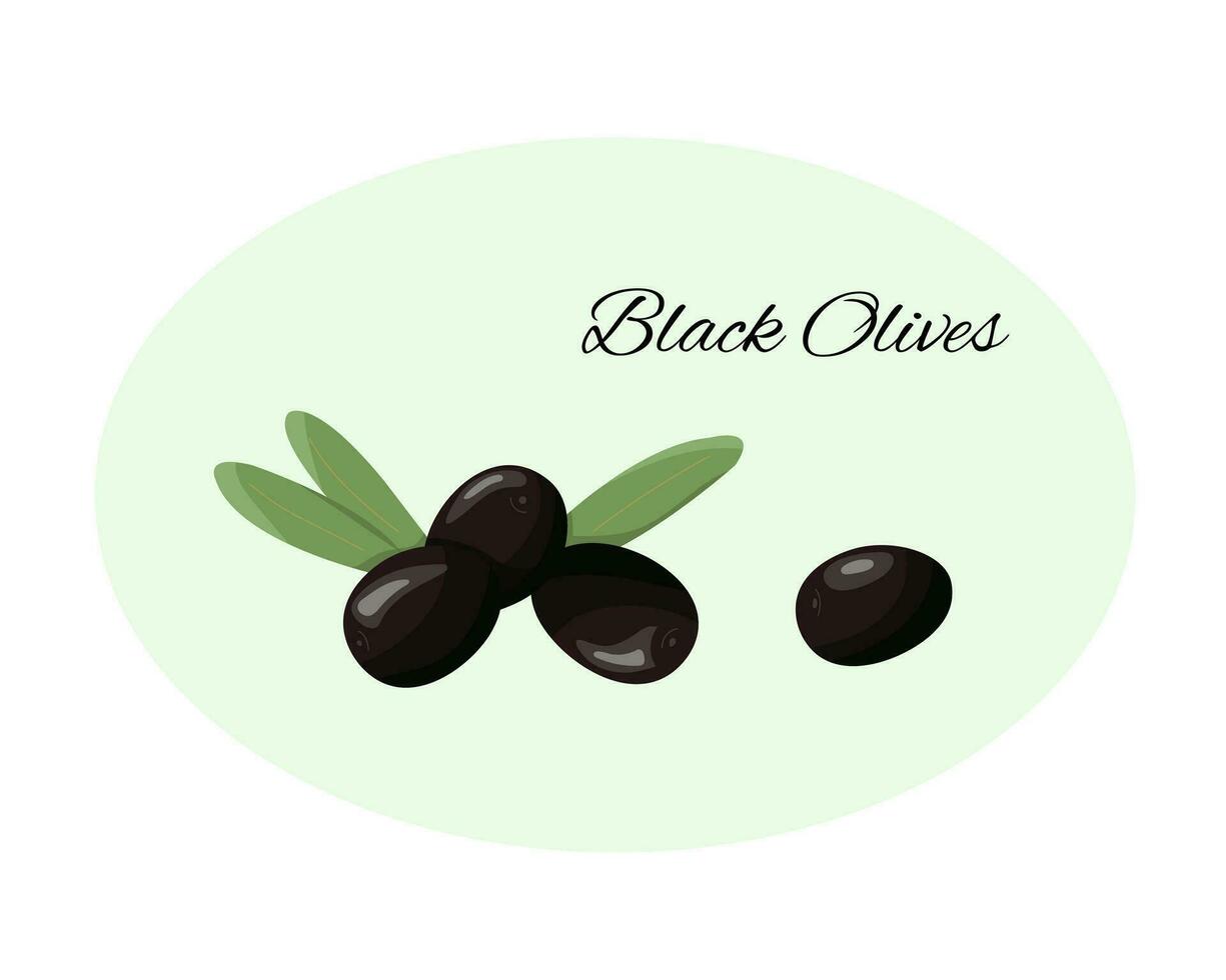 färsk svart oliver i tecknad serie stil. oliv gren med löv och oliver. svart oliver märka eller logotyp. vektor isolerat illustration.