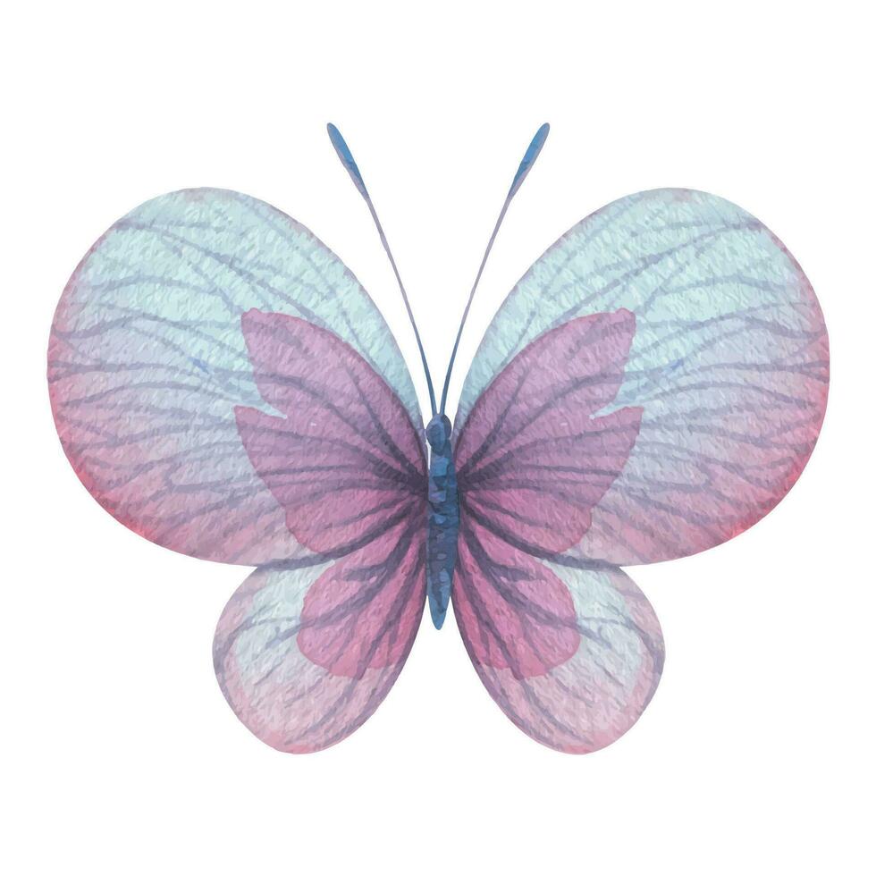 Schmetterling sind Rosa, Blau, lila, fliegend, zart mit Flügel. Hand gezeichnet Aquarell Illustration. isoliert Element auf ein Weiß Hintergrund, zum Design. Vektor eps