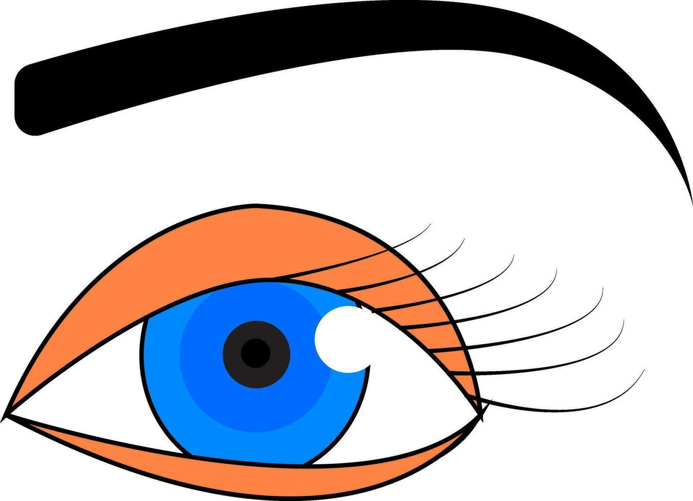blå öga med svart ögonbryn vektor illustration på vit bakgrund