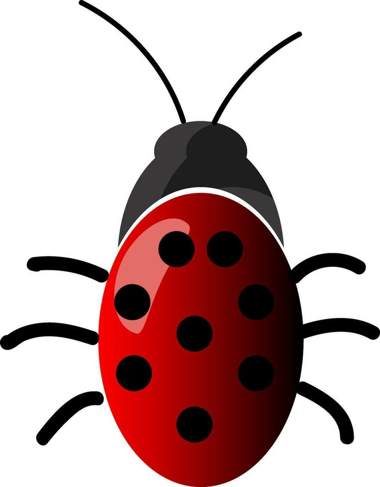 en skön insekt med röd och svart polka punkt design i tillbaka vektor Färg teckning eller illustration
