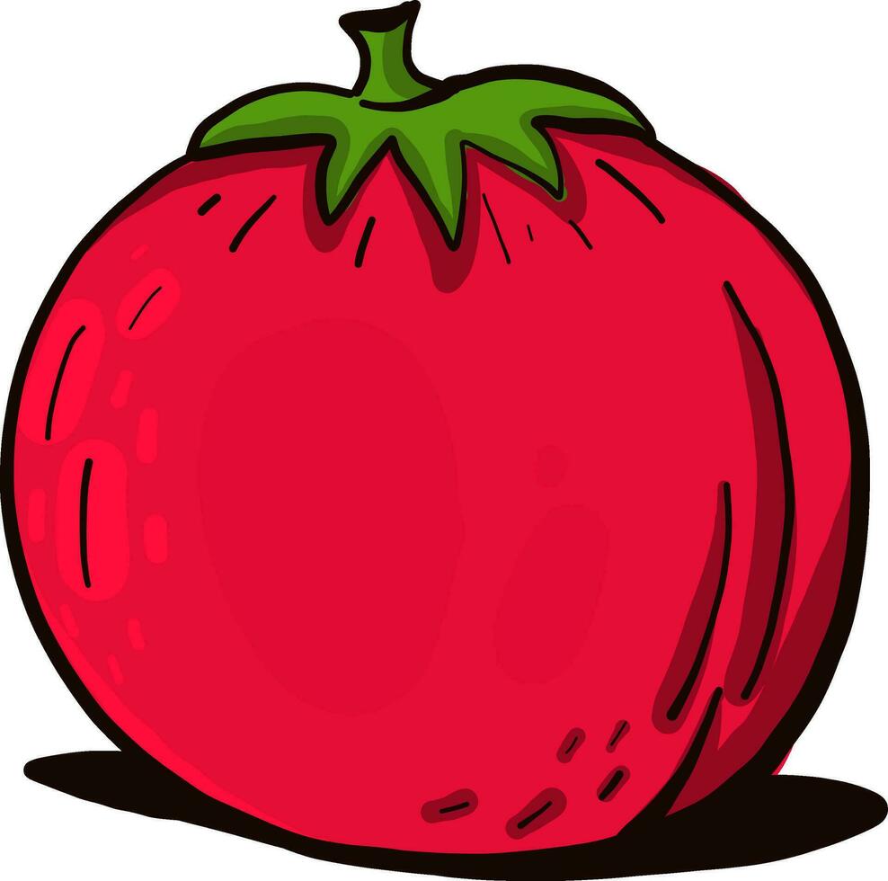 enkel röd tomat, illustration, vektor på vit bakgrund
