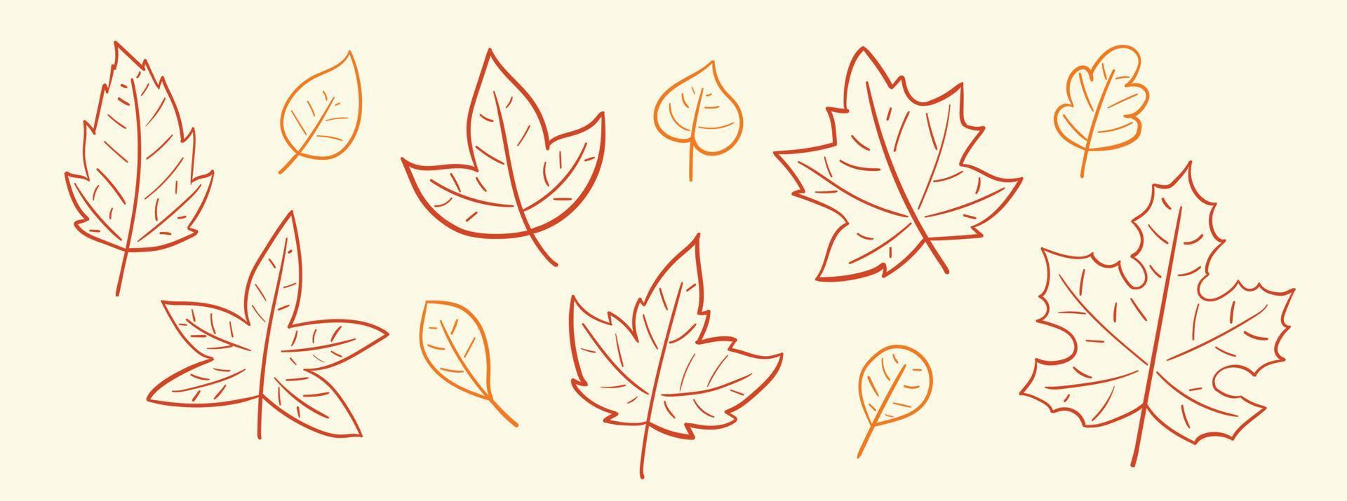Hand gezeichneter Herbst fallende Blätter Gekritzelsatz. vektor