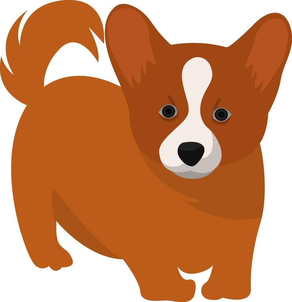 wenig Orange Hund, Illustration, Vektor auf Weiß Hintergrund