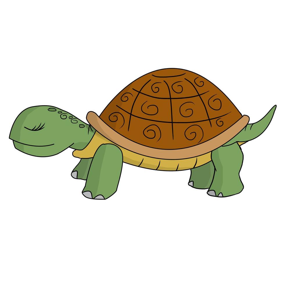 Hand gezeichnete niedliche Schildkrötentiervektorillustration lokalisiert in einem weißen Hintergrund vektor