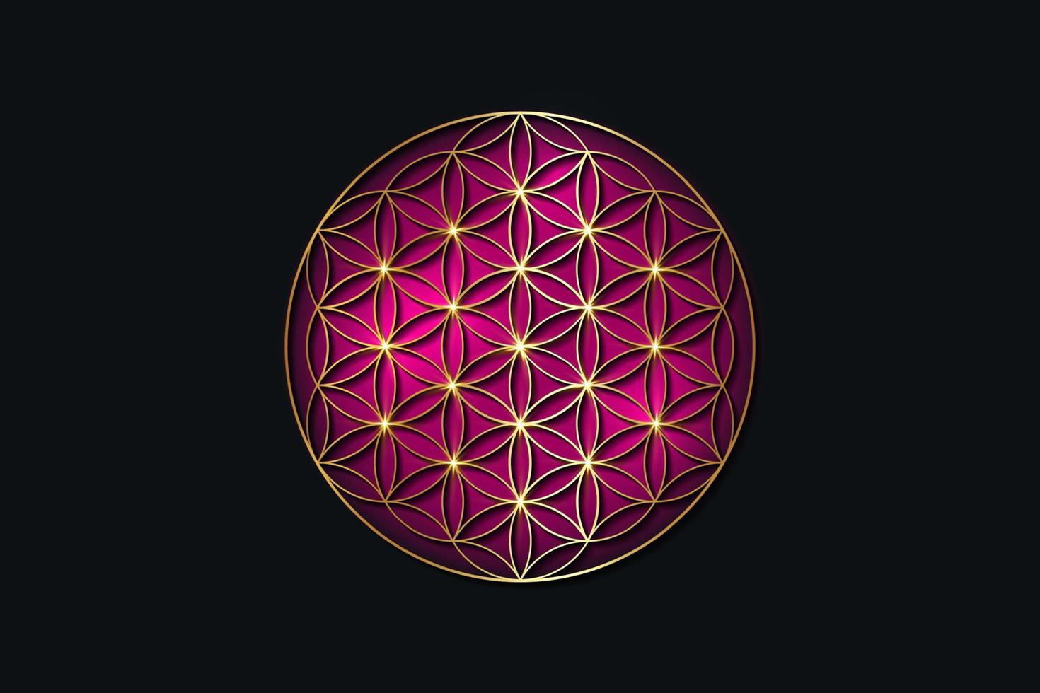 Blume des Lebens, goldenes spirituelles Mandala, heilige Geometrie. leuchtend goldenes Symbol für Harmonie und Ausgeglichenheit. mystischer Talisman, luxuriöser runder Vektor isoliert auf lila Hintergrund