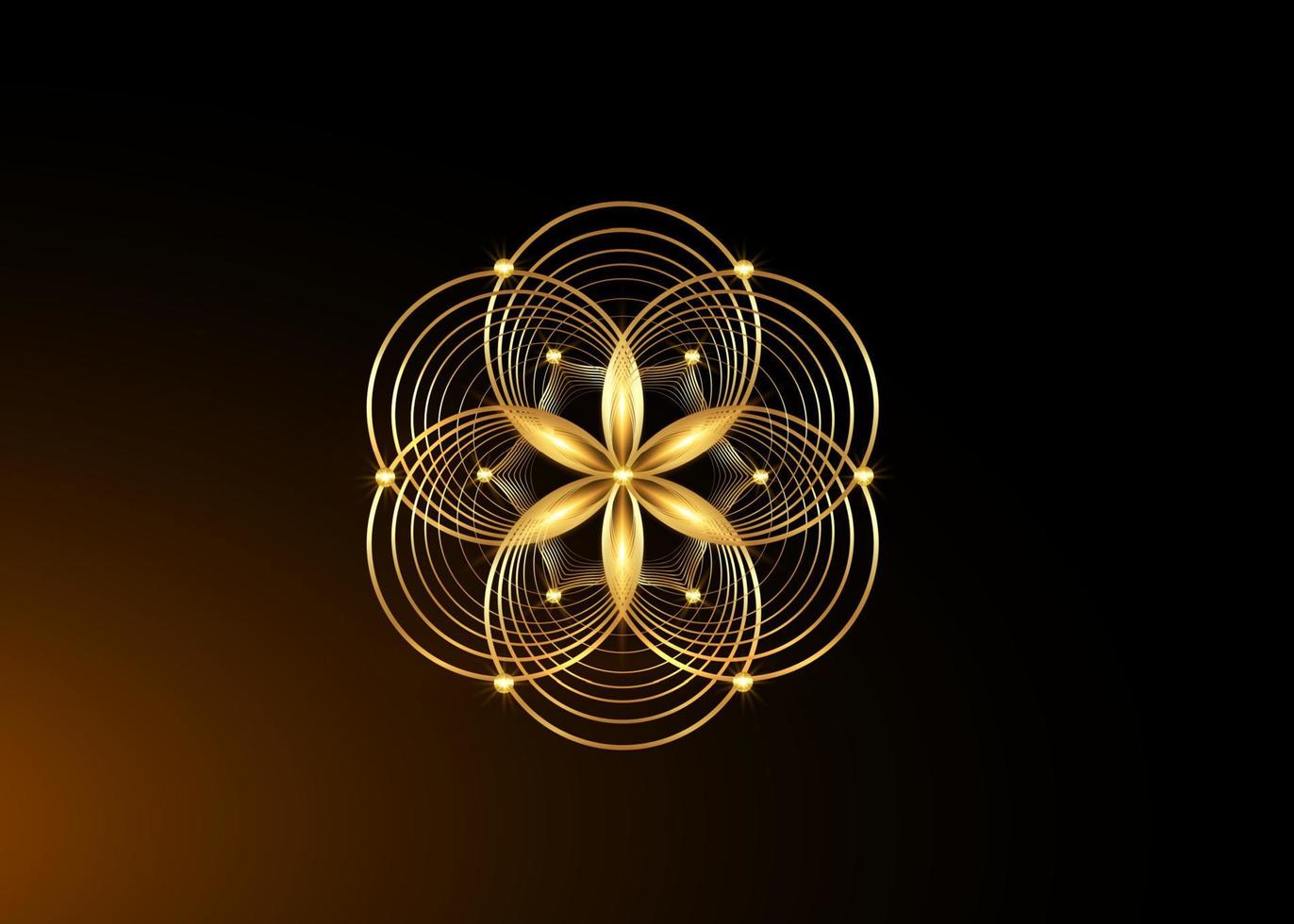 Samen des Lebenssymbols heilige Geometrie. Gold-Logo-Symbol geometrisches mystisches Mandala der Alchemie esoterische Blume des Lebens. verflochtene goldene Kreise, meditatives Amulett des Vektorlotos auf schwarzem Hintergrund isoliert vektor
