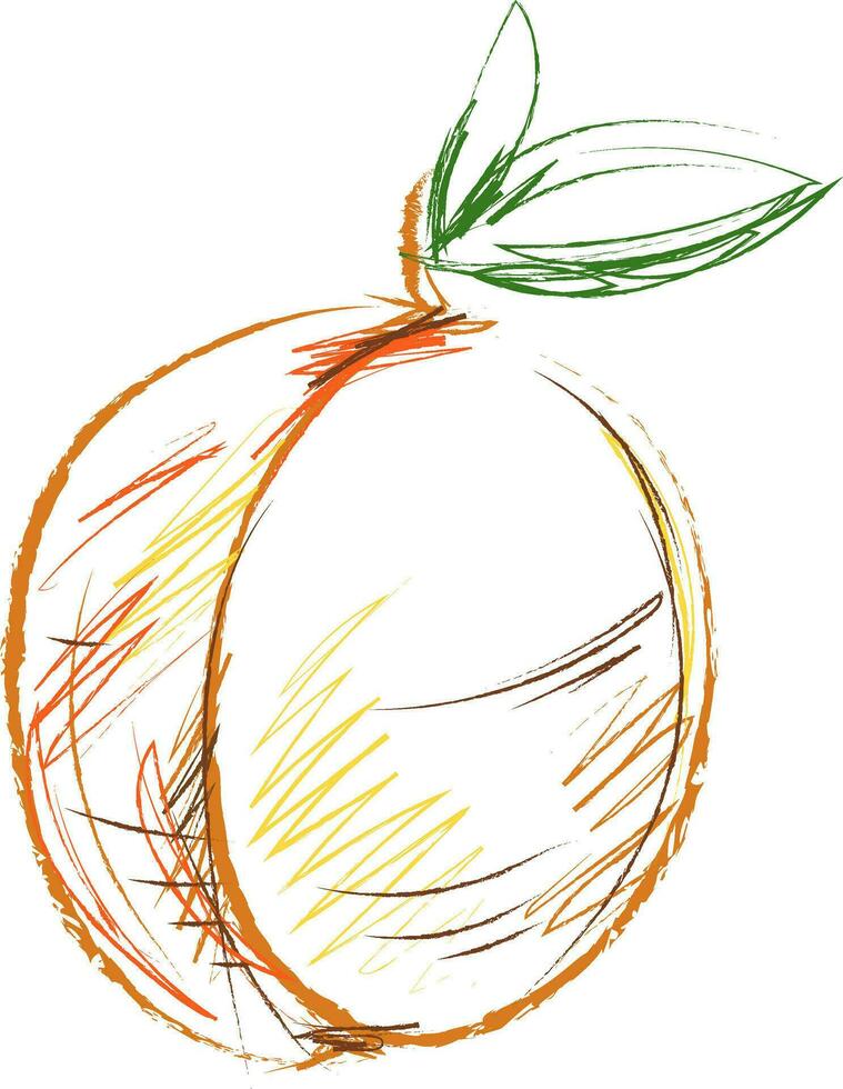 barn skiss teckning av de aprikos frukt, vektor eller Färg illustration