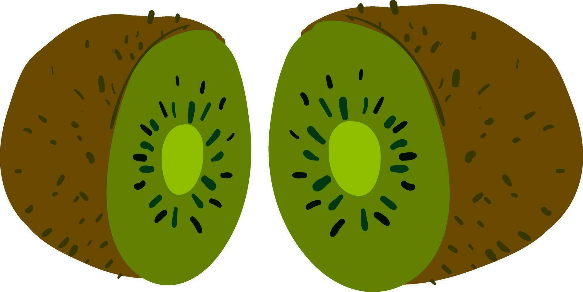 bild av skära kiwi - kiwi frukt, vektor eller Färg illustration.