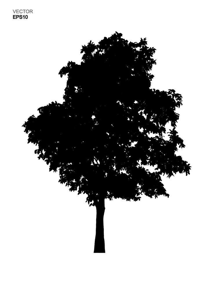 Silhouette-Baum isoliert auf weißem Hintergrund. Park- und Outdoor-Objektidee für Landschaftsgestaltung, architektonische Dekoration. Vektor. vektor